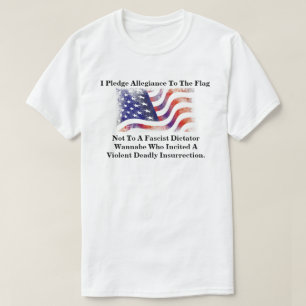 Ich gelobe Treue zur Flagge nicht............... T-Shirt
