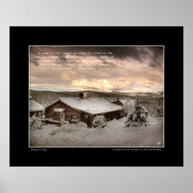 Ich ging zum Woods, Thoreau Poster (Vorne)