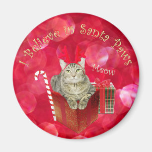 Ich glaube an Santa Paws Magnet