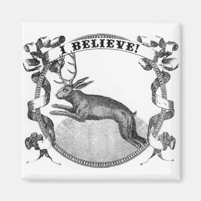 Ich glaube (Jackalope) Magnet (Vorne)