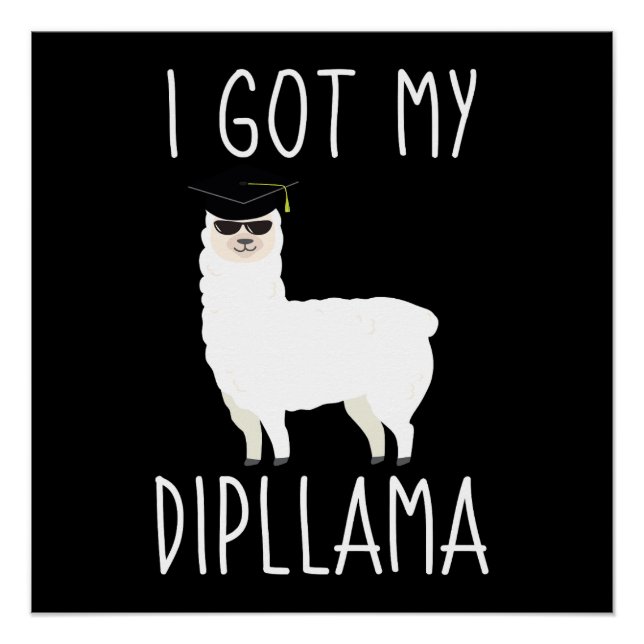 Ich Got meinen Dipllama Poster (Vorderseite)