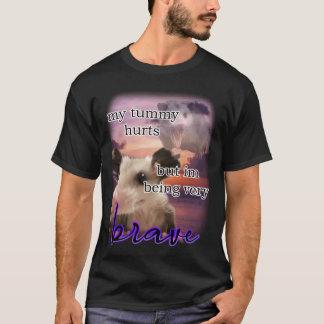 ich habe bauchschmerzen aber ich bin ein sehr tapf T-Shirt