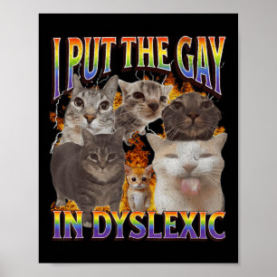 Ich habe das Gay in Dyslexie lustiges Katzen-Meme Poster