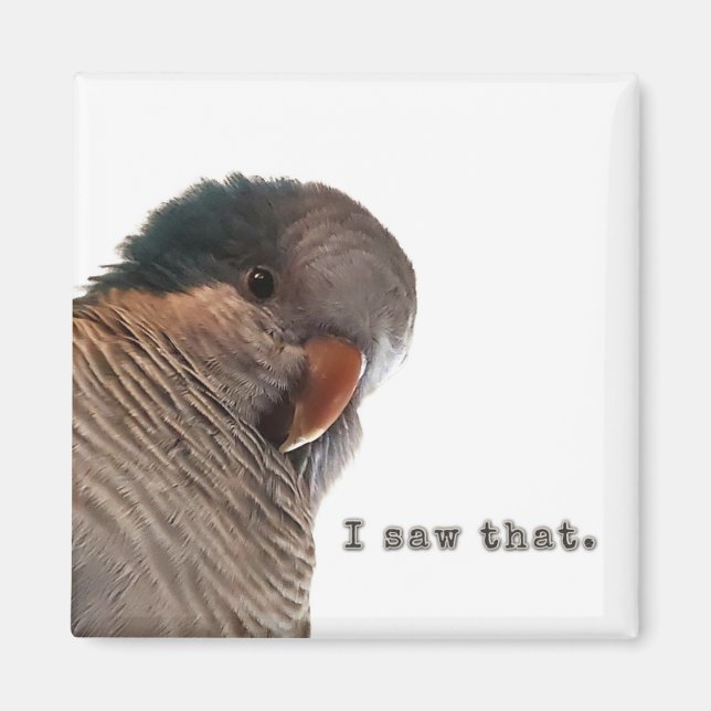 Ich habe das gesehen magnet (Vorne)