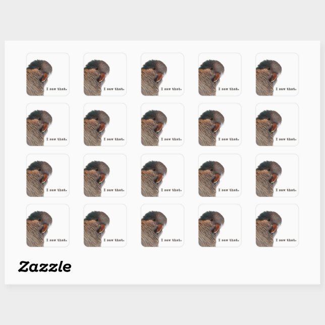 Ich habe das gesehen. Papageienaufkleber Quadratischer Aufkleber (Blatt)