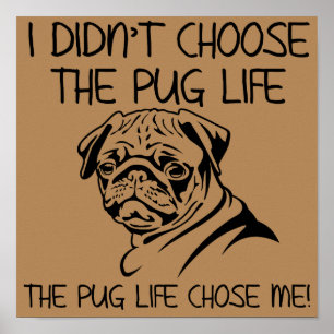 Ich habe das Mops Life Funny Poster-Zeichen nicht Poster