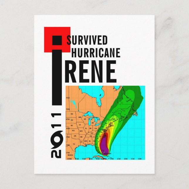 Ich habe den Hurrikan Irene Postcard überlebt Postkarte (Vorderseite)