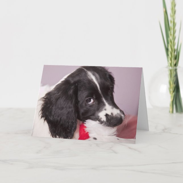 Ich habe den Weihnachtsmann gegessen Feiertagskarte (Vorderseite)