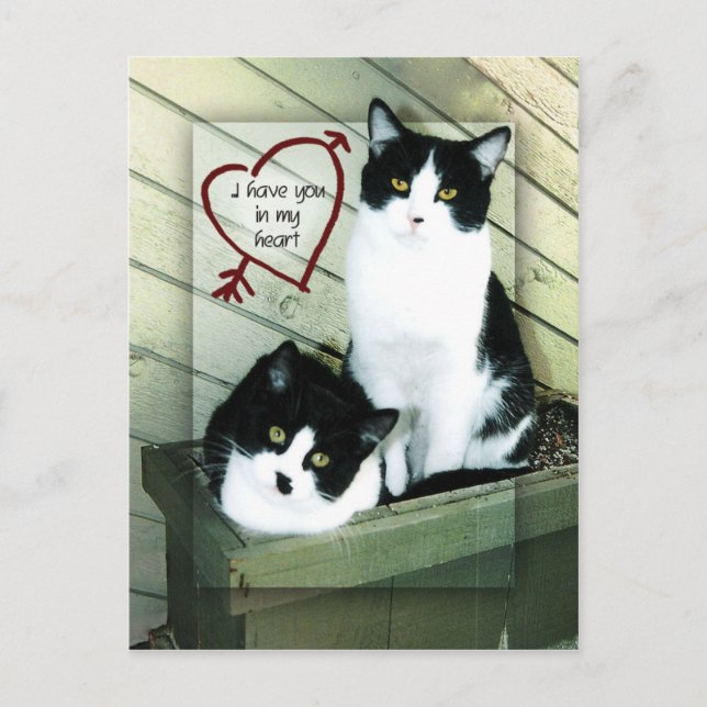 Ich habe dich im Herzen Postkarte (Vorderseite)