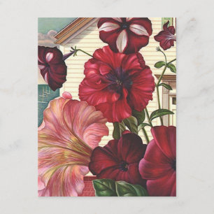 Ich habe die Ankündigung Petunia Blume Zuhause ver