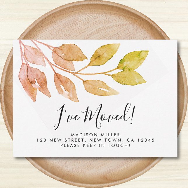 Ich habe die Ankündigung über die Bewegung von Fal (Von Creator hochgeladen)