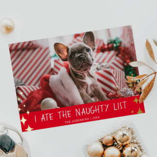 Ich habe die Holiday Card "Pet Foto Foil" der Kind Folien Feiertagskarte