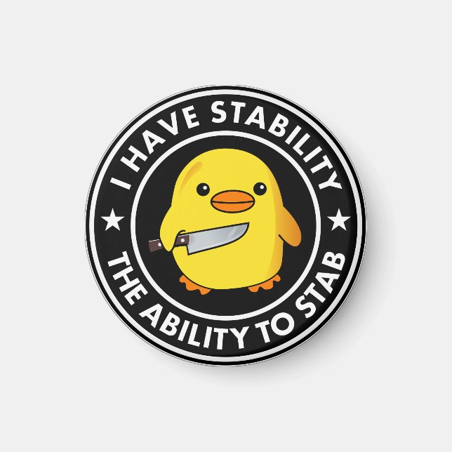 Ich habe die Stabilität, die ich mir leisten kann, Magnet (Vorne)