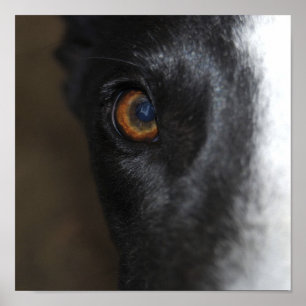 Ich habe dir das Auge got - Poster