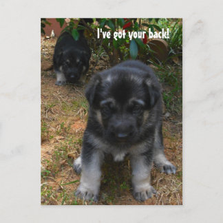 Ich habe dir den Rücken got! Deutsche Schäferpuppy Postkarte