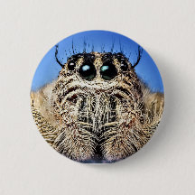 Ich habe dir die Augen got!