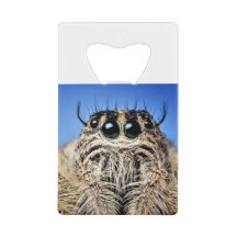 Ich habe dir die Augen got!