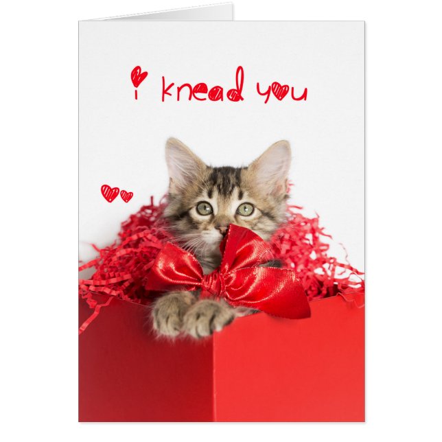 Ich habe dir Kitten geknetet (Vorne)