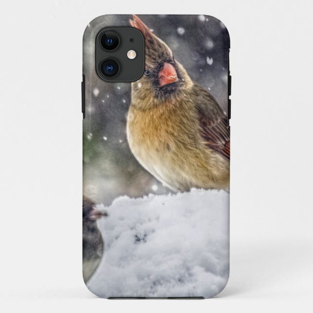 Ich habe dir mein Auge Got Case-Mate iPhone Hülle (Rückseite)