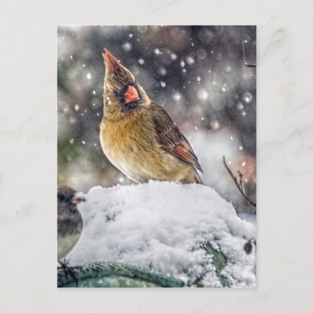 Ich habe dir mein Auge Got Postkarte (Vorderseite)