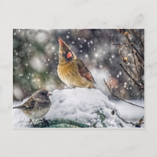 Ich habe dir mein Auge Got Postkarte