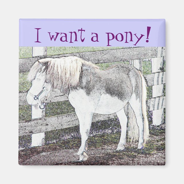 Ich habe ein Pony gewollt! Magnet (Vorne)