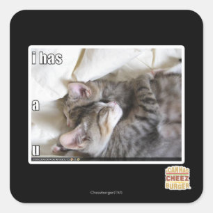 Ich habe ein u quadratischer aufkleber