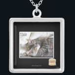 Ich habe ein u versilberte kette<br><div class="desc">Ich kann cheezburger Custom Merch!</div>