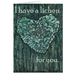 Ich habe eine Flechte für Sie