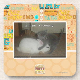 Ich habe einen Hase Getränkeuntersetzer