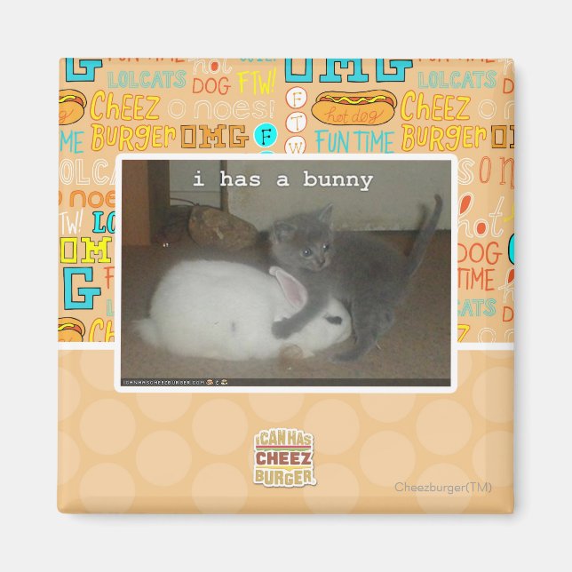 Ich habe einen Hase Magnet (Vorne)