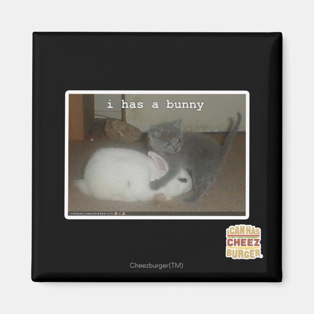 Ich habe einen Hase Magnet (Vorne)