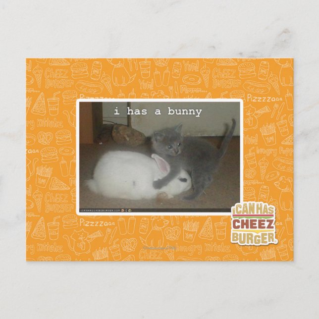 Ich habe einen Hase Postkarte (Vorderseite)
