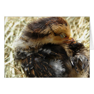 Ich habe einen Jucken Got