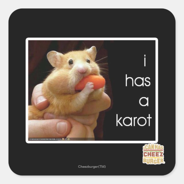 Ich habe einen Karot Quadratischer Aufkleber (Vorderseite)