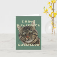 Ich habe einen richtigen Cattitude-Pun-Zitat