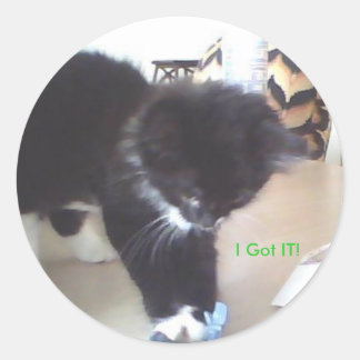 Ich habe es Got! Runder Aufkleber