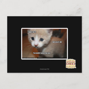 Ich habe es nicht getan. postkarte