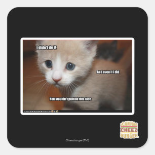 Ich habe es nicht getan. quadratischer aufkleber