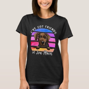 Ich habe Freunde an Orten Got, wo serbischer Hunds T-Shirt
