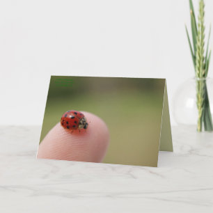 Ich habe gehört, du hast einen Bug bekommen Karte