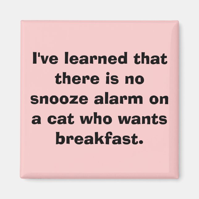 Ich habe gelernt, dass es keinen Snooze-Alarm auf  Magnet (Vorne)