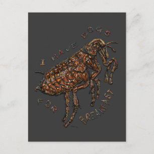 Ich habe Hunde zum Frühstück Postkarte