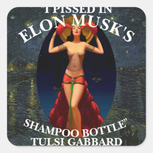 ICH HABE IN ELON MUSKS SHAMPOO TULSI GABBARD GESPI QUADRATISCHER AUFKLEBER
