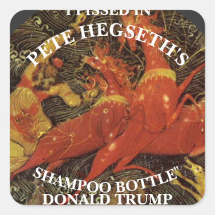 ICH HABE IN PETE HEGSETH SHAMPOO FLASCHENTRUMP GEH QUADRATISCHER AUFKLEBER