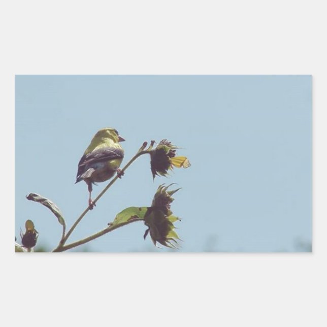 Ich habe kleine Besucher. #bird #nature #willife Rechteckiger Aufkleber (Vorderseite)