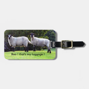 Ich habe mein Gepäck gefunden. Gepäckanhänger