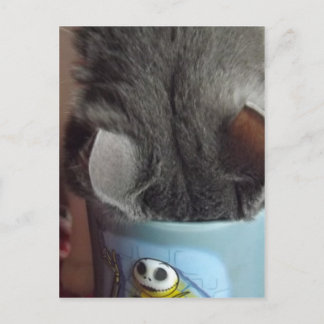 ICH HABE MEIN KAFFEE GEHABT!! POSTKARTE