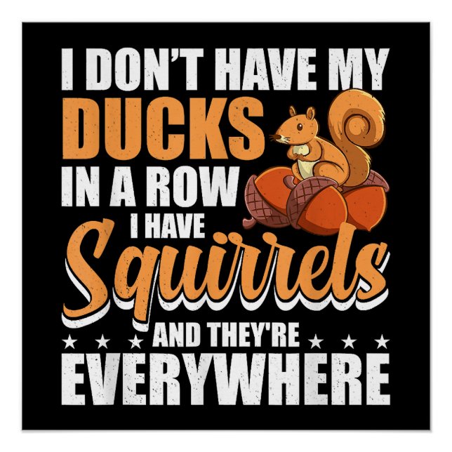 Ich habe meine Enten nicht in einer Reihe, in der  Poster (Vorderseite)