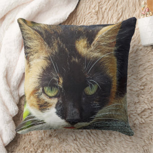 "ICH HABE MEINE GRÜNEN AUGEN AUF DICH GOT!"/KATZKO KISSEN